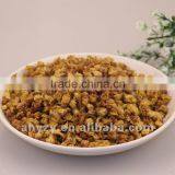 Wintersweet Flower Flos Mume thumbnail-1