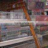 Poultry Cage hot dropped galvanized and mesh wire