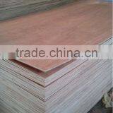 Red Face Bingtagor Grade AB Plywood - Kego Ltd thumbnail-3