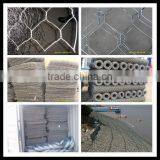 Good !chicken Wire Mesh/hexagonal Wire Netting thumbnail-1