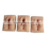 Female Organ Suture Training Vulva Model thumbnail-2