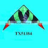 Sport China Airplane Power Kite Surf thumbnail-5