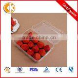 Rectangular Transparent 250g Fruit Storage Box Sealed Plastic Fresh Fruit Container With Lid thumbnail-1