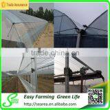 Searea Hot Sale Small Polythene Greenhouse for Mushroom thumbnail-2