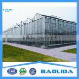Low Cost Glass Covering Agricultural Greenhose thumbnail-1