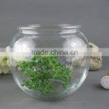 Glass Fish Bowl /round Glass Fish Bowl thumbnail-1