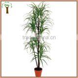 Artificial Green Dracaena Plants for Room Decoration thumbnail-1