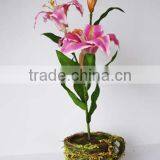Artificial Lily With Glass Pot thumbnail-1