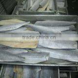 Frozen Spanish Mackerel Fillet thumbnail-1
