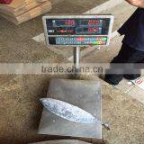 Bonito Fish Whole Frozen Frigate Mackerel Fish for Sale thumbnail-1