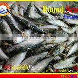 FROZEN WHOLE ROUND MARUADSI (ROUND SCAD) thumbnail-3