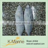 Types of Pacific Tuna Fish(kmw4008) thumbnail-1