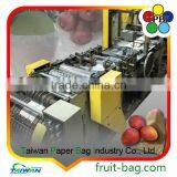 TPBI Double Protection Kraft Paper Bag for Mango thumbnail-3