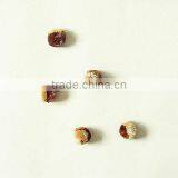 Colorful Cotton Pom Poms