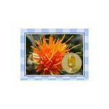 Supply Pure Organic Safflower Seed Oil thumbnail-1