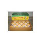 Yuanhuang Pear thumbnail-1