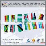 PVC String Bunting Flag thumbnail-3