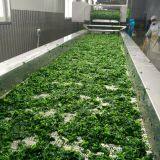 Frozen Spinach Ball thumbnail-3