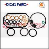 Diesel Injection Pump Repair Kit 1 417 010 059 Bosch Pump Repair thumbnail-1