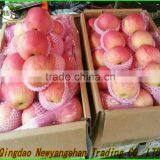 2014 Fresh Fruit Fuji Apple Wholesale for Dubai (In the Preferential...) thumbnail-1