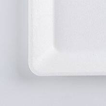 Disposable Biodegradable 6 INCH Square Plate Take Away Sugarcane thumbnail-5