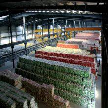 Shikefeng Chemical Industry Co., Ltd company overview - view 2 thumbnail