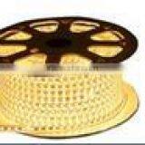 Cheaper Price Smd 5050 DC 12V 60led/m Magic Rgb Led Strip thumbnail-1