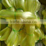 NYLON MONOFILAMENT LINE---YELLOW COLOR---0.18MM thumbnail-4