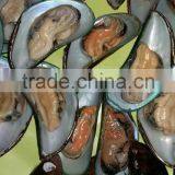 Frozen Green Mussel thumbnail-1