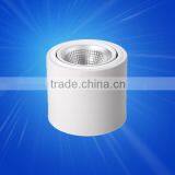 Sinoco high quality COB 30W ip65 downlight