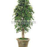 Artificial Ficus Trees