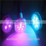 38mm 6 Leds Pixel Led for Luna Park Lamps, DC12V or DC24V Input, Waterproof