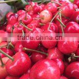 China Paper Bagged Fresh Cherries thumbnail-4