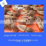 Seafood Dried Squids