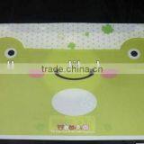 2013 Decorative Custom Plastic Folder