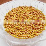 JSX China yellow mung bean food grade dried moong dal