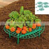 plant support,Strawberry Grids Set of 5pcs