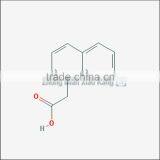 High Quality 98% TC 1-Naphthylacetic Acid thumbnail-4
