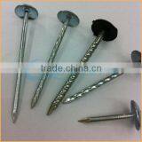 Top Quality Umbrella Roofing Nail for Construction Trusted Chuanghe Suppliers From Com thumbnail-6