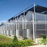 BaoLiDa Agriculture Used Greenhouse thumbnail-2