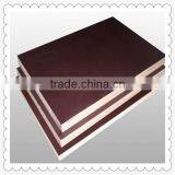 Marine Plywood / Film Faced Plywood Factory thumbnail-1