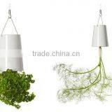 New Design Indoor Creative Sky Planter Originality Fashion Sky Planter Hanging Plastic for Plants thumbnail-3