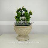 Succulents Wholesale Cactus Bonsai Artificial Cactus Plant thumbnail-2