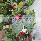 Home &garden Ornament Artificial Camellia Tree With Flowers Decoration thumbnail-6