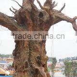 Fiberglass Giant Tree Decoration for Zoo or Amusement Park thumbnail-4