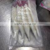 Pacific Squid Tube thumbnail-2