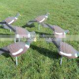 PIGEON DECOY BIRD PAINTED SHELL HIGH QUALITY thumbnail-2
