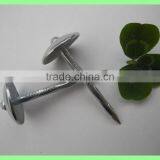 Hot Sale Umbrella Roofing Nails Supplies thumbnail-6
