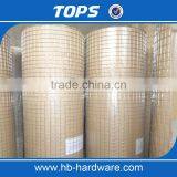 Pvc Coated Welded Wire Mesh( Electro Galvanized/hot Dip Galvanized/PVC Coated) for Fence/tree Guard/construction thumbnail-6