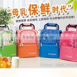 Bottle Cooler Bag/cooler Bag Manufacturer/breast Milk Cooler Bag thumbnail-2